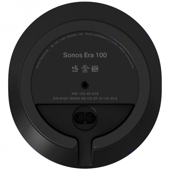 Умная колонка Sonos Era 100, черный в Благовещенске