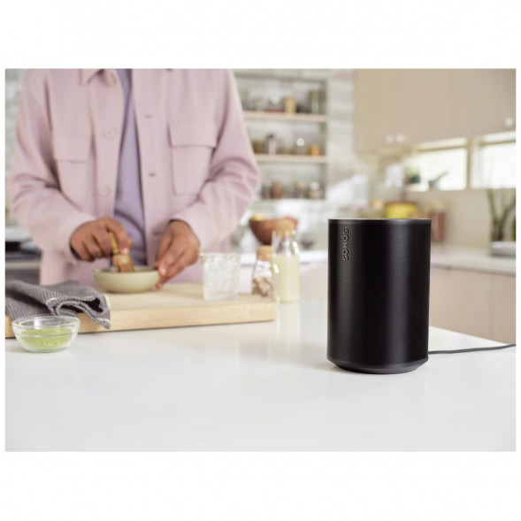 Умная колонка Sonos Era 100, черный в Благовещенске
