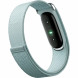 Фитнес-браслет Google Fitbit Air (Серо-голубой/Fog) в Благовещенске