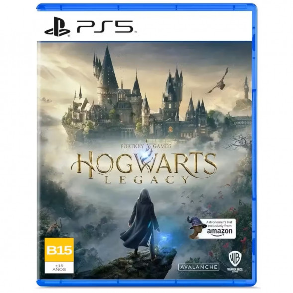 Игра Hogwarts Legacy. Exclusive DLC Astronomers Hat [PS5, русские субтитры] в Благовещенске
